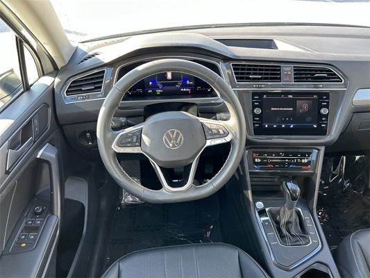 2023 Volkswagen Tiguan 2.0T SE in Clearwater, FL - Lokey Automotive Group