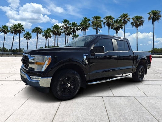 2021 Ford F-150 XLT in Clearwater, FL - Lokey Automotive Group
