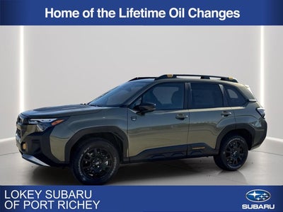 2026 Subaru Forester Wilderness