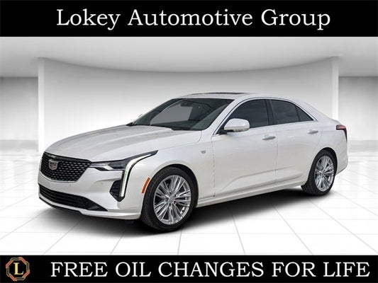 2023 Cadillac CT4 Premium Luxury in Clearwater, FL - Lokey Automotive Group