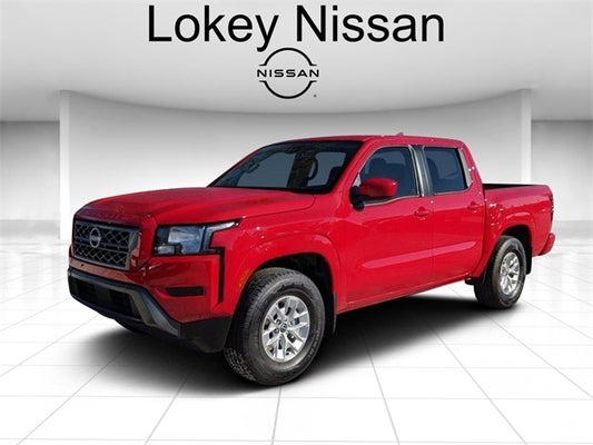 2024 Nissan Frontier SV in Clearwater, FL - Lokey Automotive Group