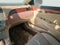 2006 Toyota Camry Solara SLE
