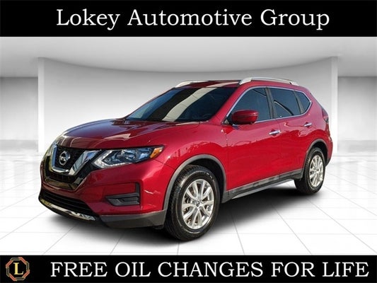 2017 Nissan Rogue SV in Clearwater, FL - Lokey Automotive Group