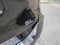 2019 Nissan Rogue SL **Platinum Reserve Interior**