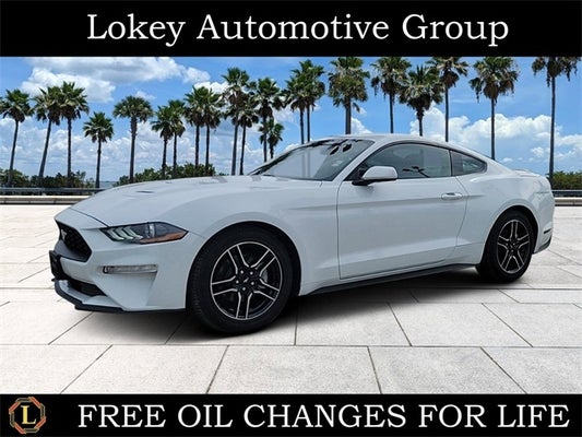 2022 Ford Mustang Base in Clearwater, FL - Lokey Automotive Group