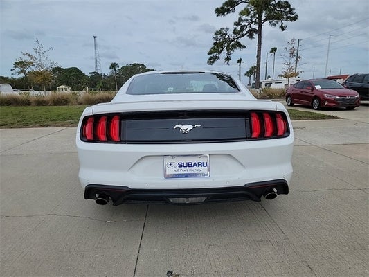2022 Ford Mustang Base in Clearwater, FL - Lokey Automotive Group