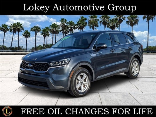 2021 Kia Sorento LX in Clearwater, FL - Lokey Automotive Group